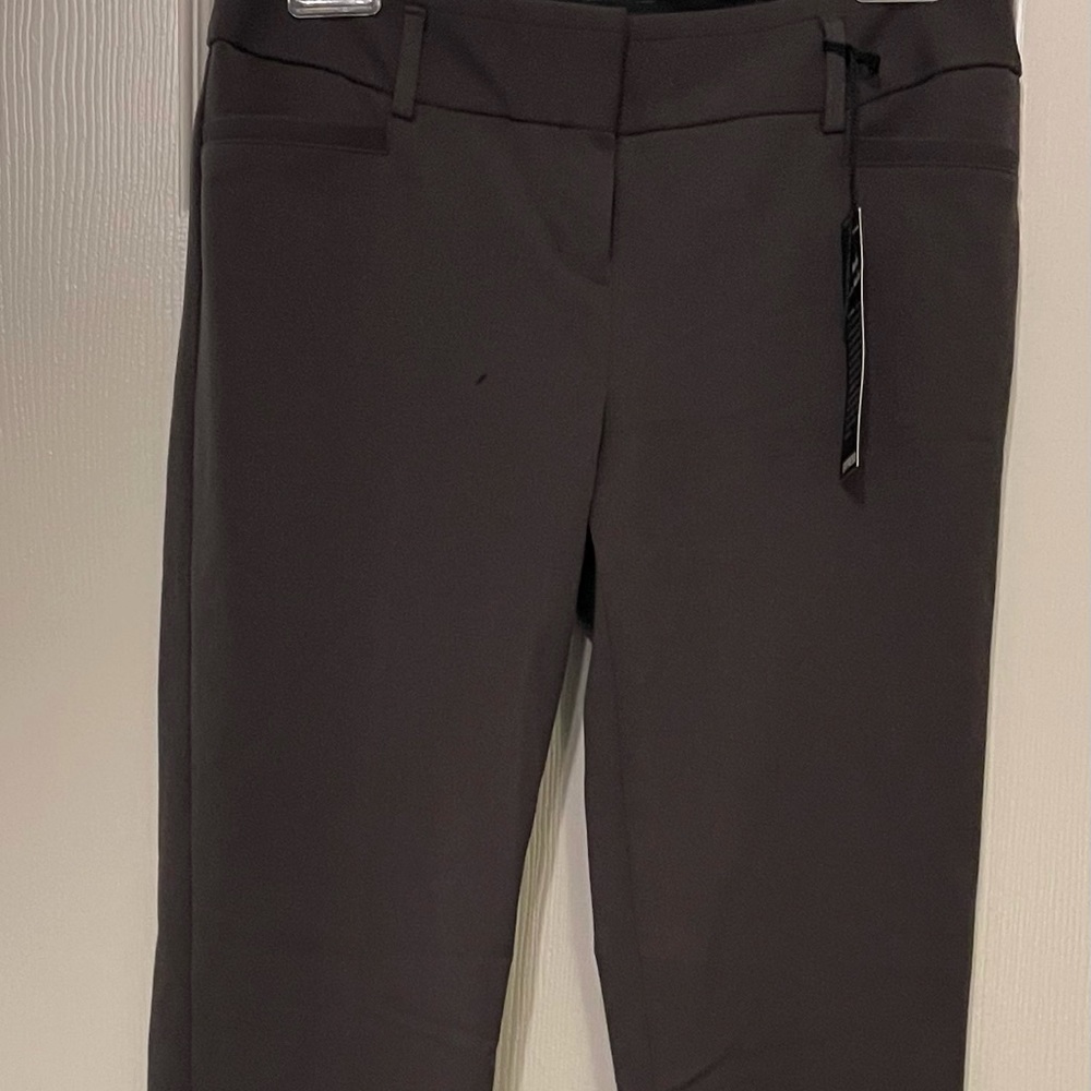 NWT Express Work pants (Columnist Style)